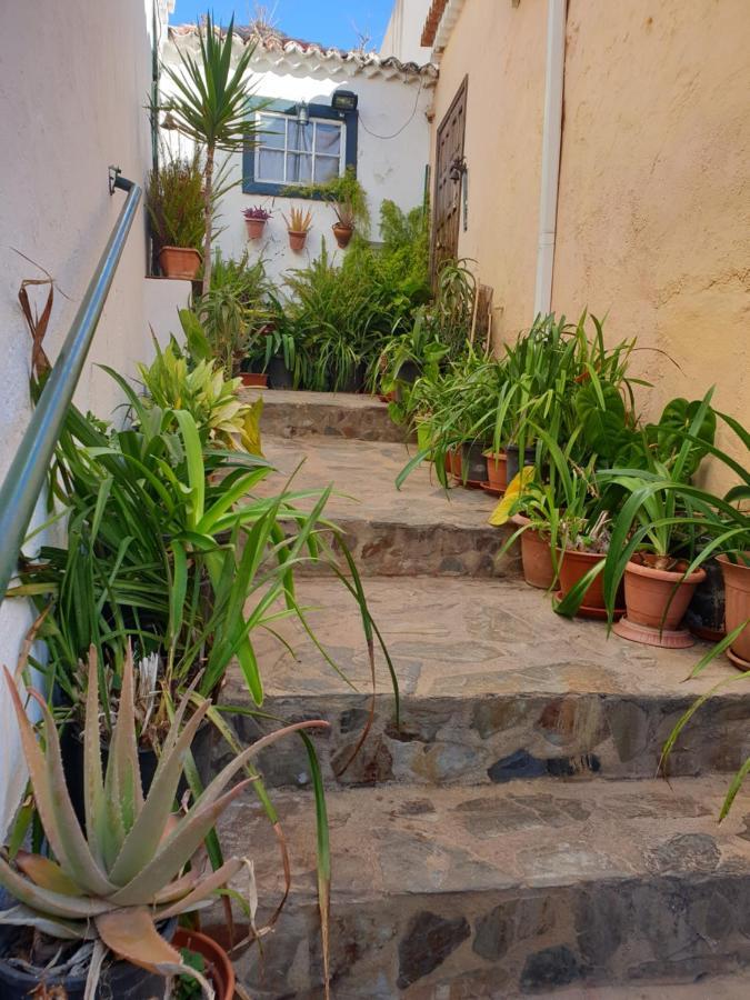 Casa Apartamento Los Llanos 洛斯·亚诺斯·德·阿里丹 外观 照片